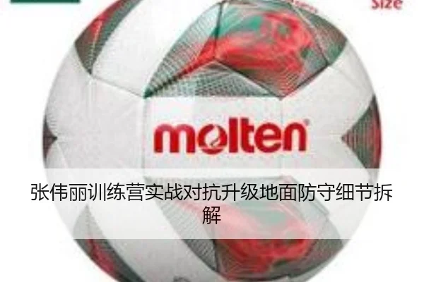 张伟丽训练营实战对抗升级地面防守细节拆解（STARSPORTS）